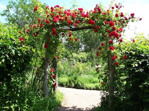 Un vialetto in giardino con un arco di legno ricoperto di fiori rossi.