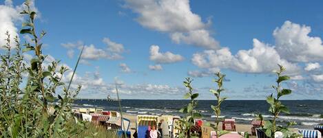 Plage à proximité