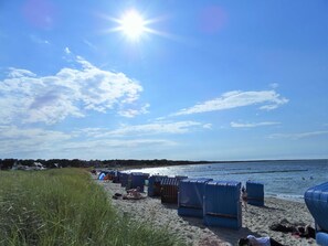 Imagen sin descripción, 3 de 19, botón