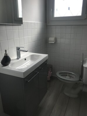 Dusche, Haartrockner, Toilettenpapier
