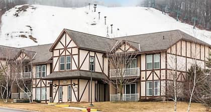 Boyne Mountain Luxury 3 BR Full Kitchen Condo (A)