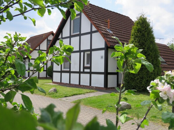 Imagen sin descripción, 1 de 30, botón