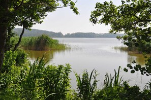 Uklassifisert bilde, 3 av 18, knapp