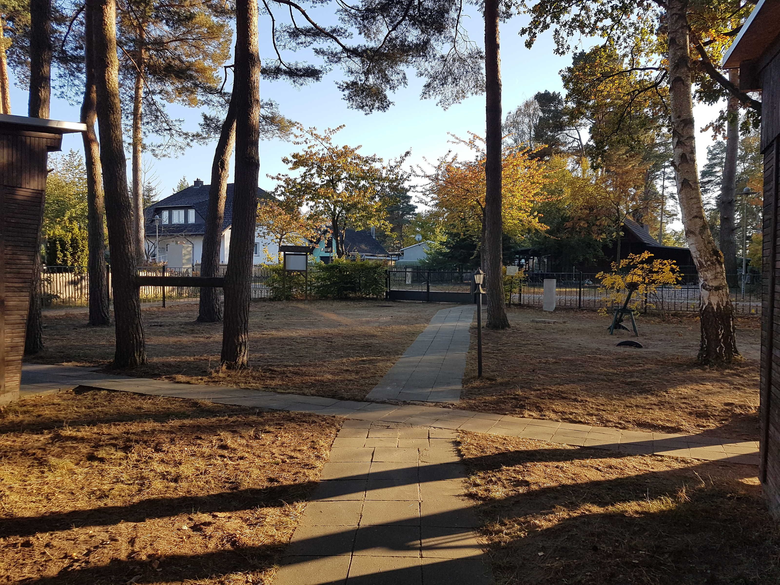 A residential area with a paved walkway, tall trees, and houses in the background.