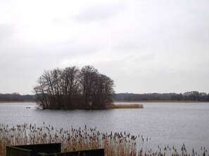A lake with a small island of trees and reeds in the foreground. - Summer house, rowing boat incl. - Summer house (Krakow am See)