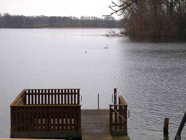 Unclassified image, 1 of 12, button