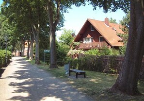 Immagine non classificata, 5 di 15, pulsante