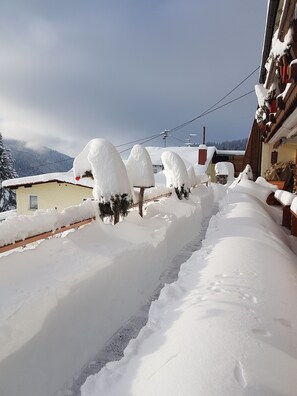 Terrain de l’hébergement 