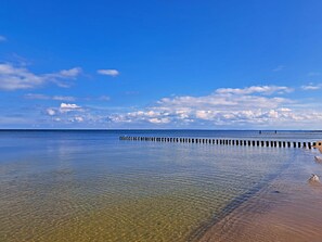 Een rustig strand met helder water, een houten steiger en een boot in de verte.