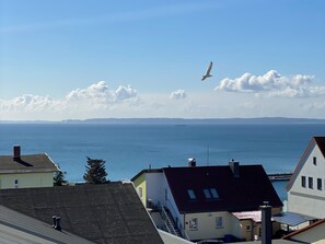 Billede uden beskrivelse, 3 af 31, knap