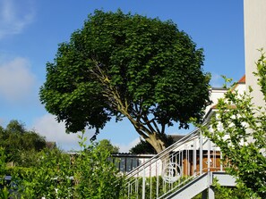 Billede uden beskrivelse, 2 af 31, knap