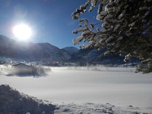 Botón de imagen sin clasificar, 2 de 52