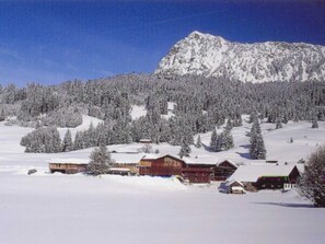 Unclassified image, 4 of 52, button