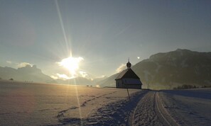 Botón de imagen sin clasificar, 5 de 52