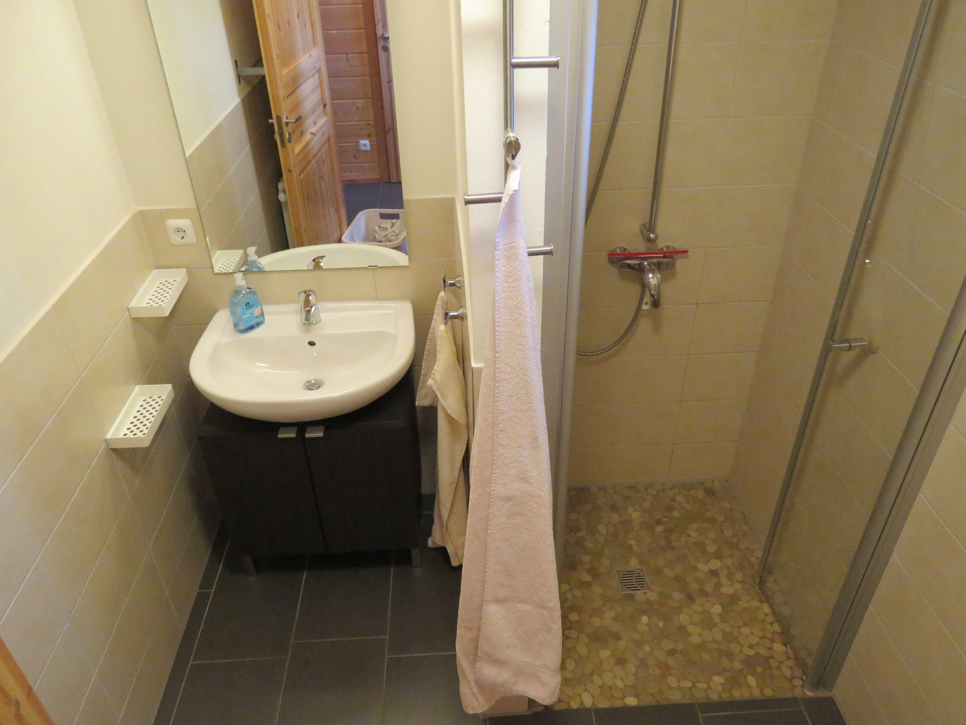 Een kleine badkamer met een wastafel, spiegel en douche.