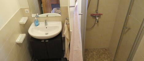 Een kleine badkamer met een wastafel, spiegel en douche.