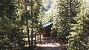 A cabin surrounded by dense forest, with a gravel path leading to the entrance. - Secluded mountain retreat (Dolores)
