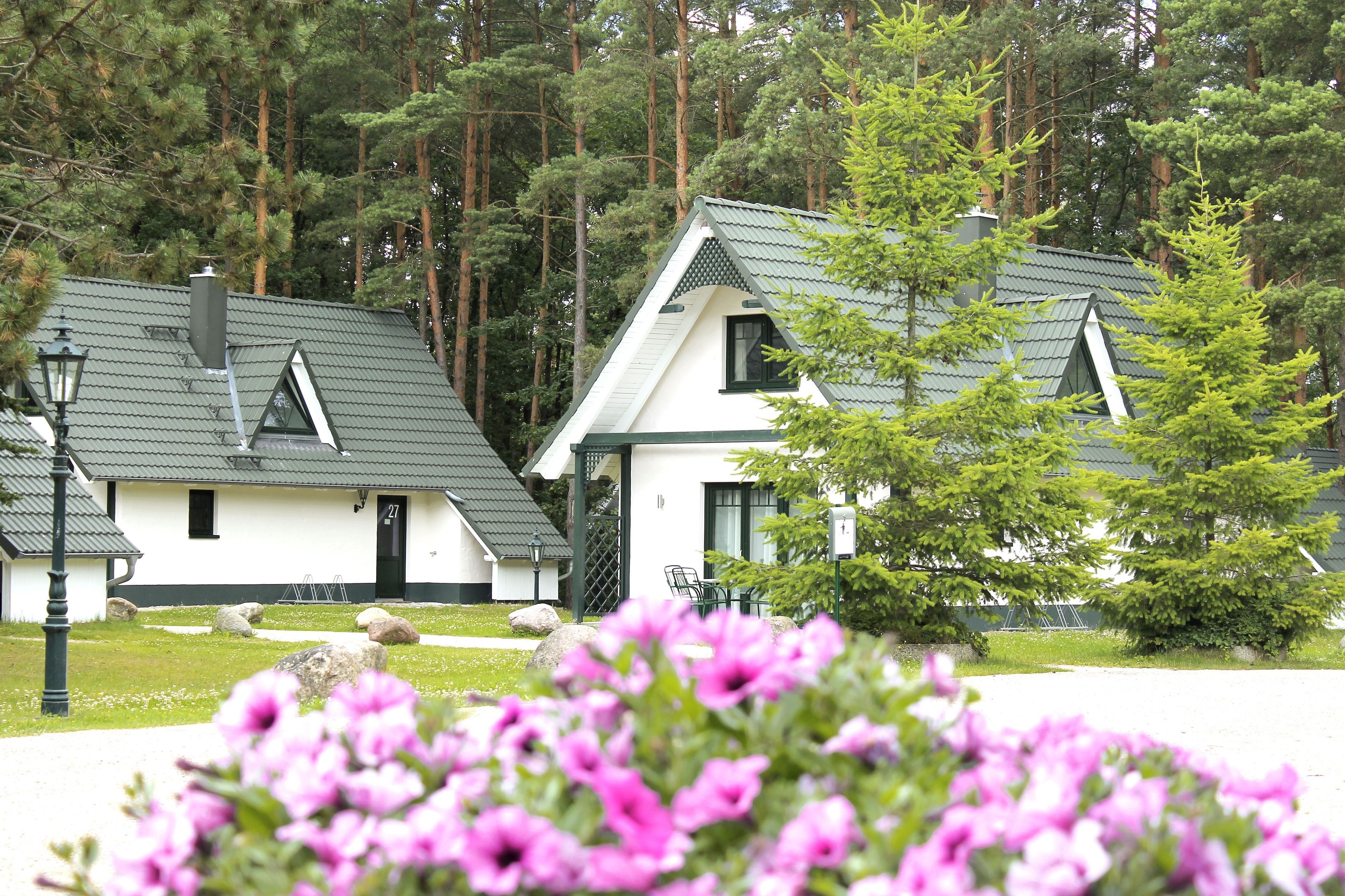 A row of white cabins with dark roofs, surrounded by a forest.