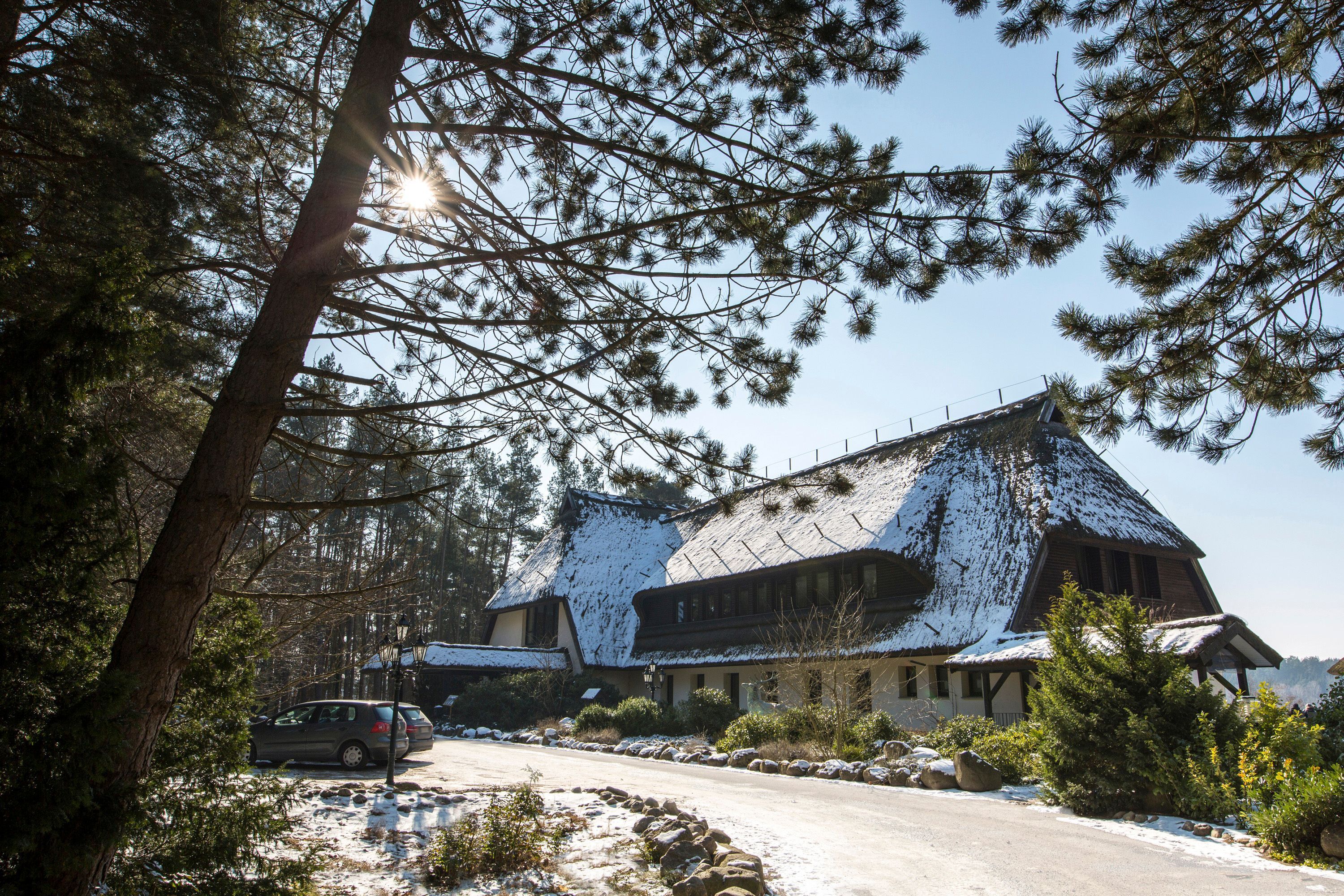 Un edificio cubierto de nieve con un estilo arquitectónico tradicional, rodeado de árboles y un cielo despejado.