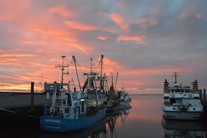 A harbor with several fishing boats docked, featuring names like 'Madonna' and 'Nordstrand'.