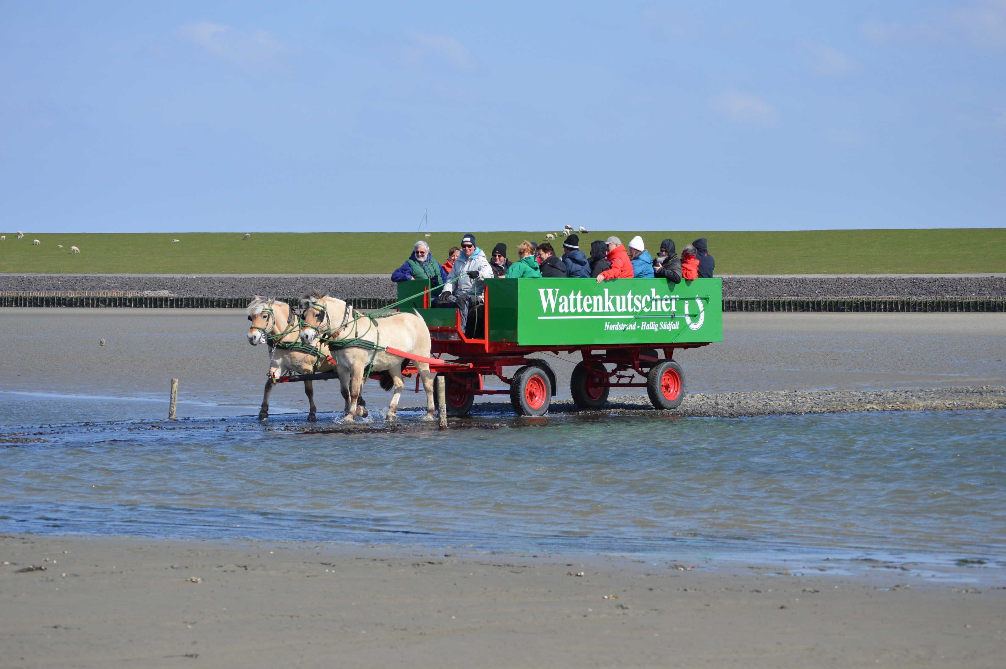 Une calèche tirée par des chevaux transportant des passagers sur une plage.