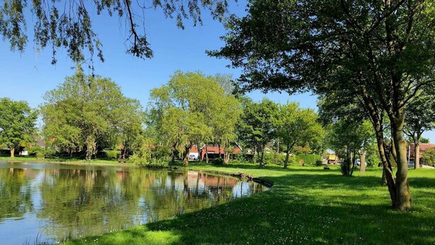 A serene park with a pond, lush green grass, and trees.
