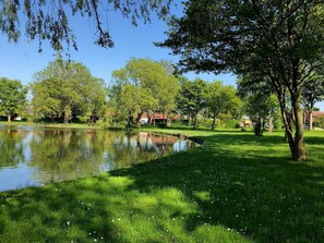 Un parc paisible avec un étang, une pelouse verdoyante et des arbres.