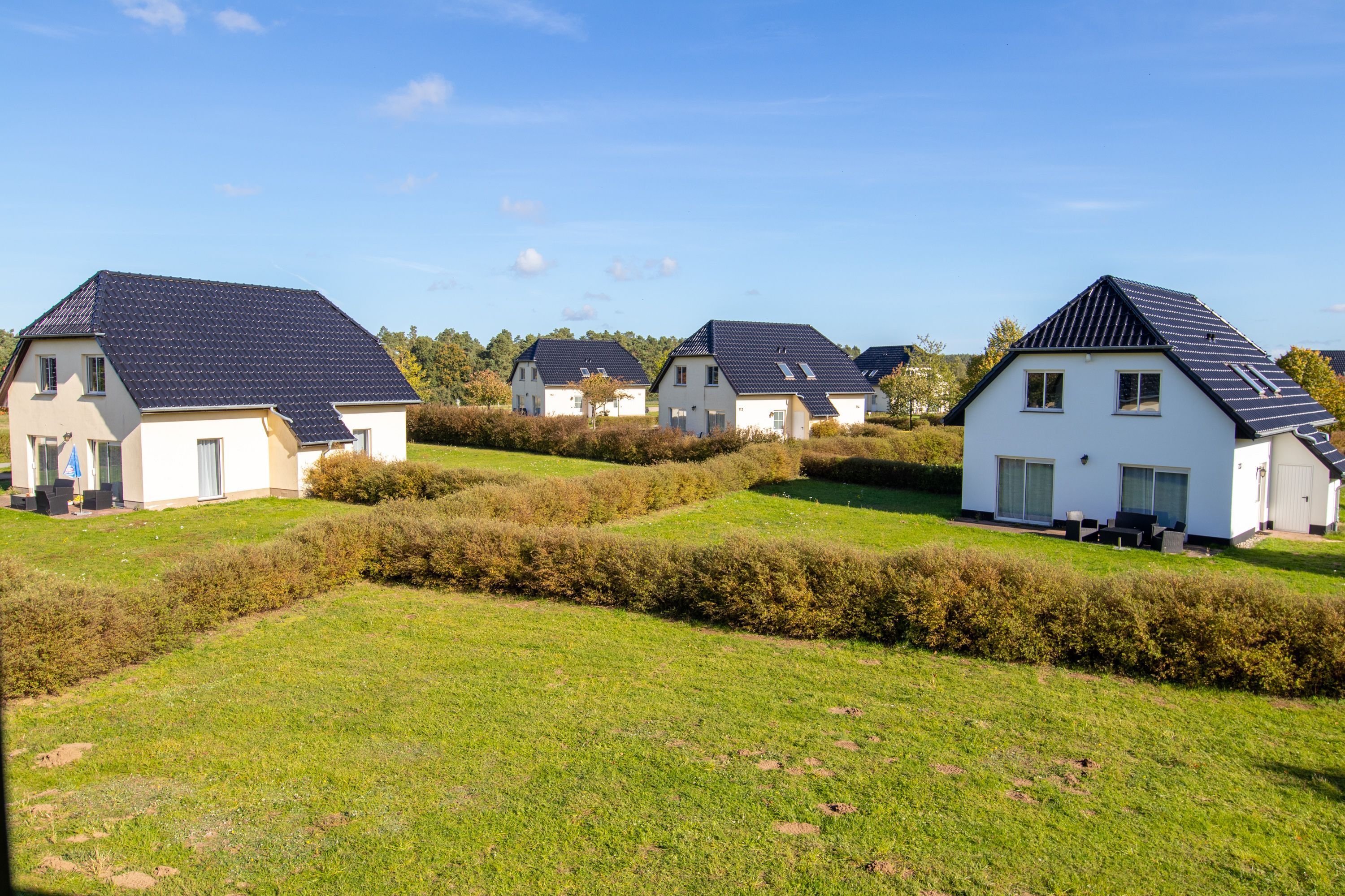 Une rangée de maisons blanches aux toits sombres, entourées de haies et de pelouses bien entretenues.