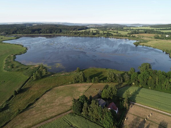 Imagen sin descripción, 1 de 16, botón