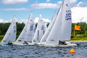 Niet-geclassificeerde afbeelding, 5 van 19, knop