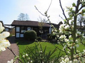 Unclassified image, 3 of 36, button