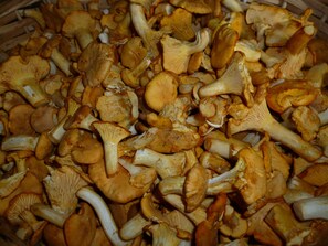 Unclassified image, 2 of 49, button