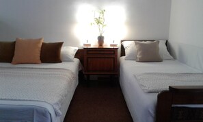 2 bedrooms, iron/ironing board, WiFi, bed sheets - Attractive central location within walking distance to all famous city sites  (Sarajevo)