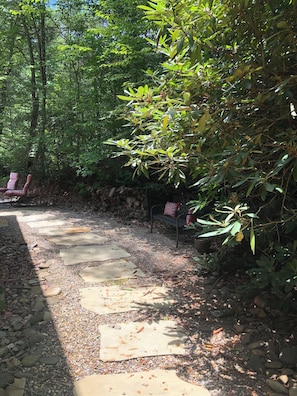 Stroll through a serene garden setting, surrounded by lush greenery and a tranquil atmosphere.