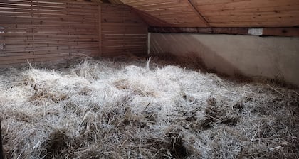 Sleeping in the hay / hay bed - Ferienhof Sarodnick