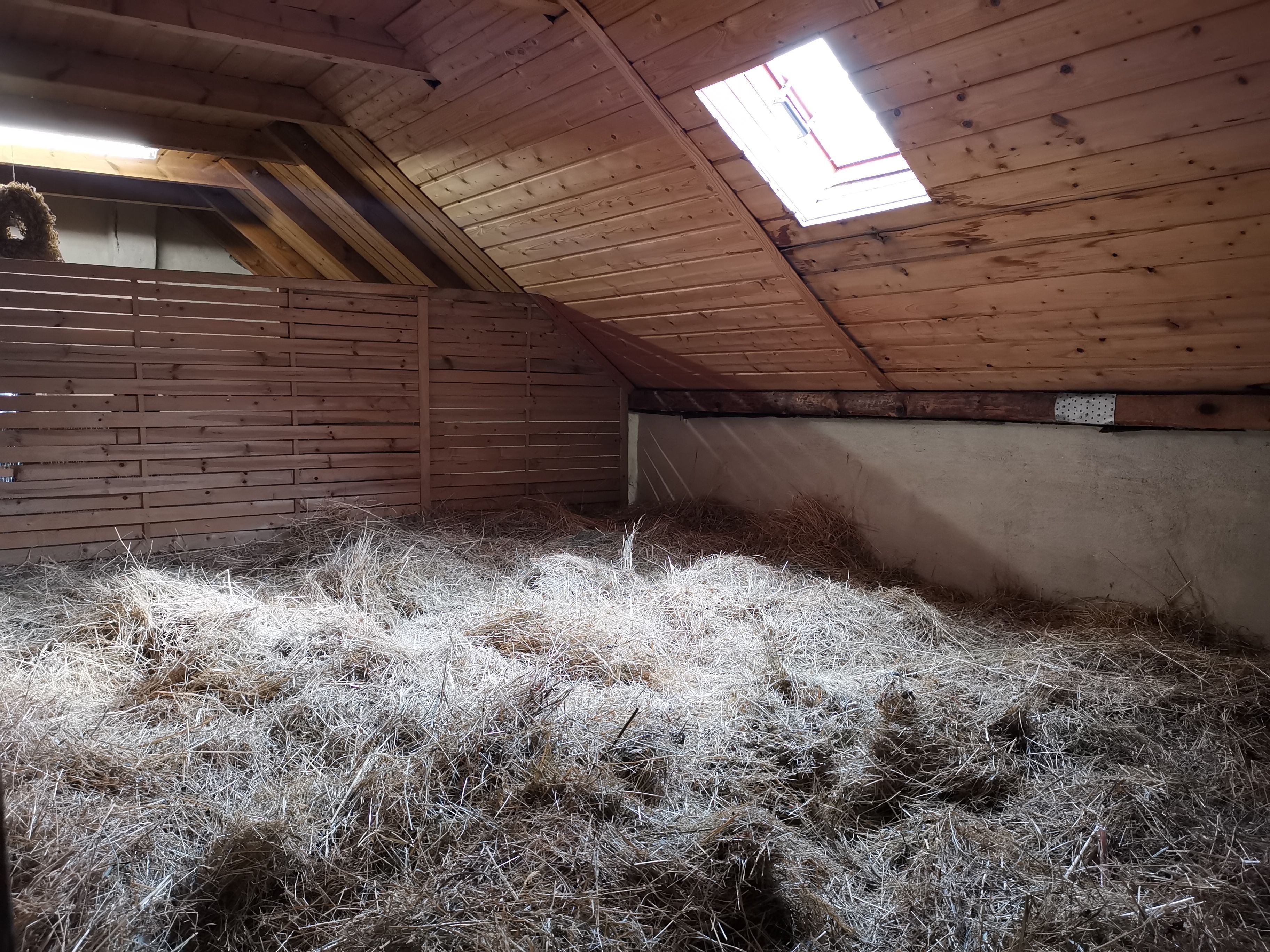 A barn with a sloped ceiling, wooden walls, and a skylight.