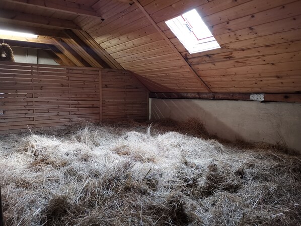A barn with a sloped ceiling, wooden walls, and a skylight. - Sleeping in the hay / hay bed - Ferienhof Sarodnick (Lauta)