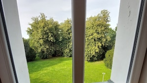Een raam met uitzicht op een verzorgd gazon en bomen.