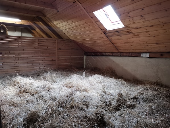 A barn with a sloped ceiling, wooden walls, and a skylight. - Sleeping in the hay / hay bed - Ferienhof Sarodnick (Lauta)