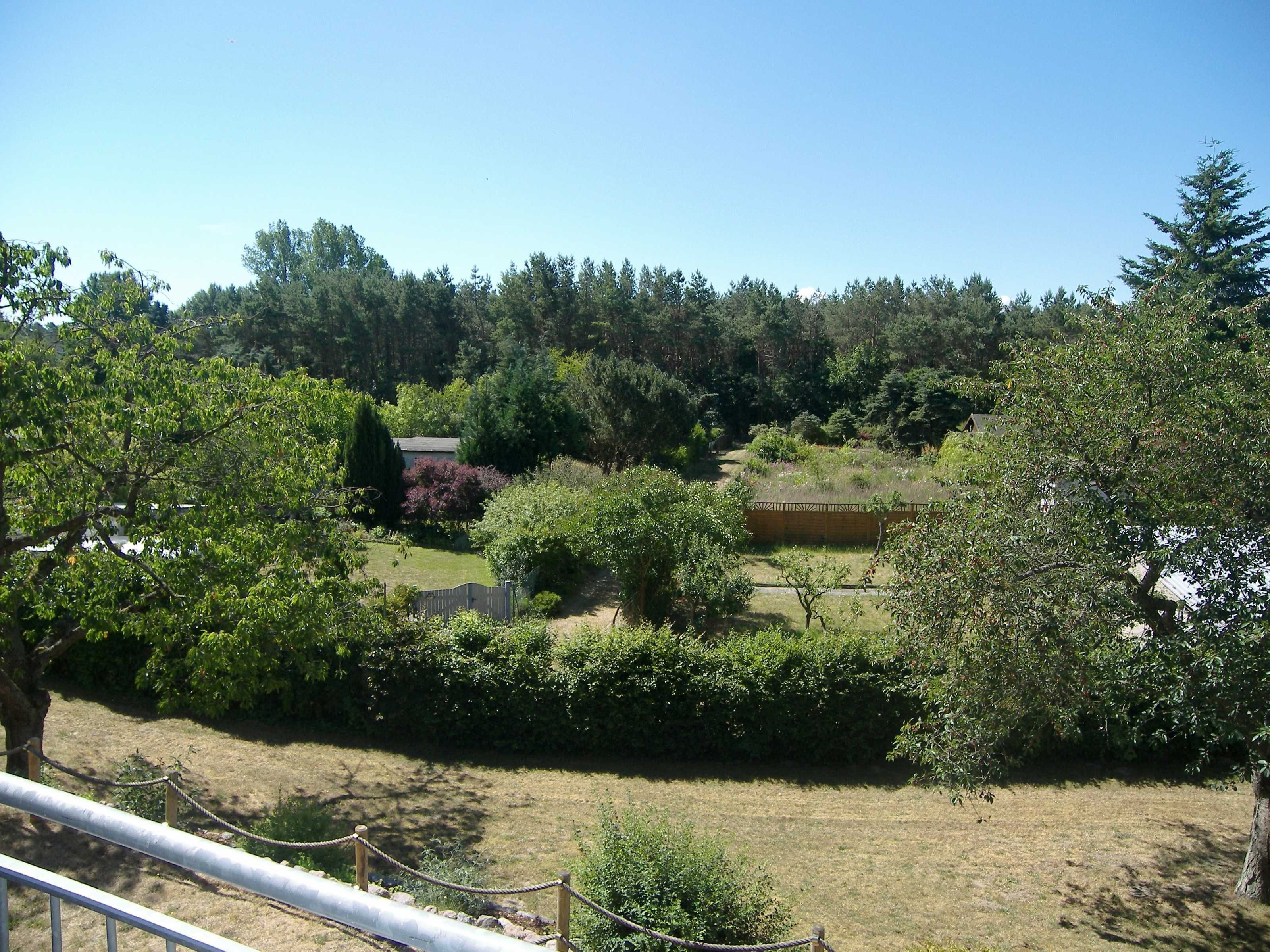 A view of a landscaped garden with a variety of trees and shrubs, a fenced area, and a building in the background.