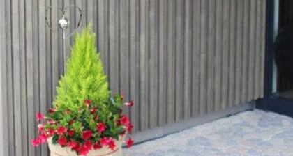 Apartment Belana - FeWo Daiber