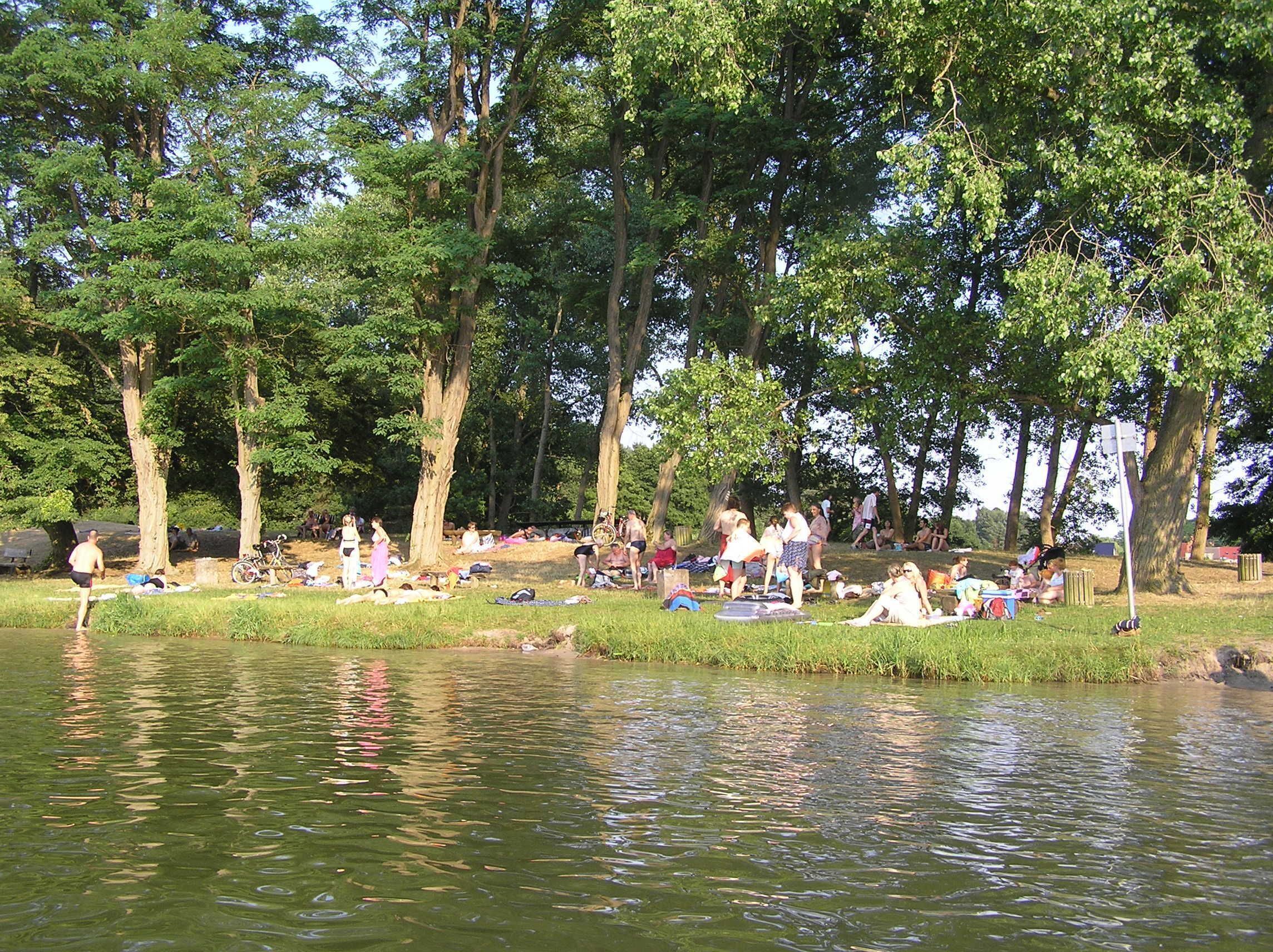 A park with a lake, picnic areas, and trees.