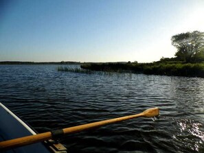 Unclassified image, 5 of 29, button