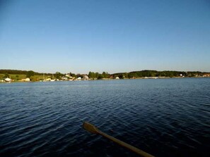 Unclassified image, 4 of 29, button