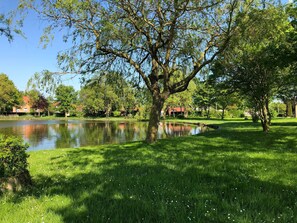 Image sans description, 4 de 25, bouton