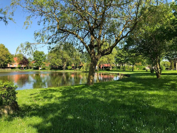 Imagen sin descripción, 1 de 25, botón