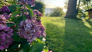 Un jardin agrémenté de fleurs d’hortensia et d’une pelouse verdoyante.