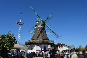 Imagen sin descripción, 5 de 44, botón