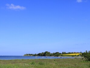 Imagen sin descripción, 5 de 17, botón