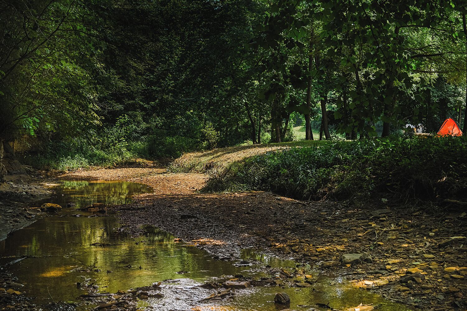 Un área boscosa con un arroyo, un sendero de tierra y una tienda de campaña.